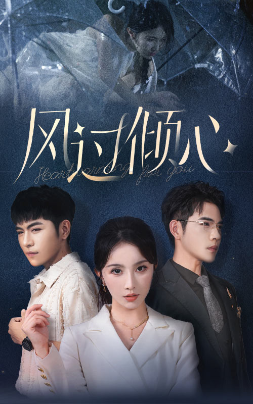 风过倾心第28集