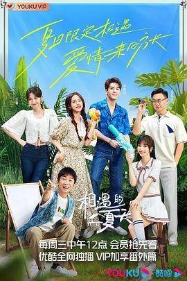 相遇的夏天第20221116期下