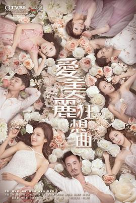 爱美丽狂想曲粤语第14集