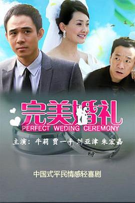 完美婚礼第17集