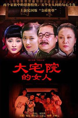大宅院的女人第30集
