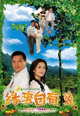 缘来自有机国语第20集(大结局)