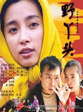 野丫头第04集