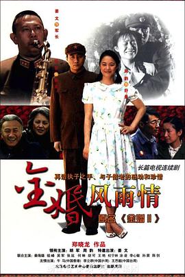 金婚·风雨情第17集