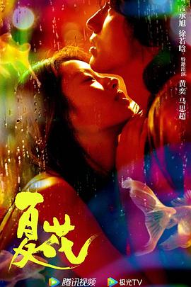 夏花第15集