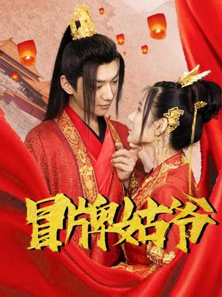 冒牌姑爷第17集