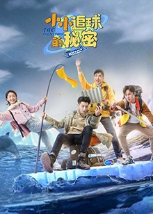 小小追球的秘密第23集