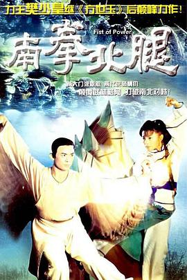 南拳北腿国语第19集