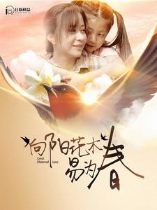 向阳花木易为春第100集