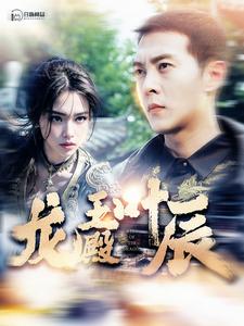 龙王殿叶辰第72集