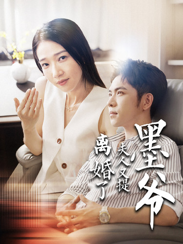 墨爷夫人又提离婚了第90集