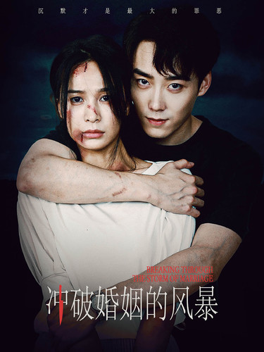 冲破婚姻的风暴第01集