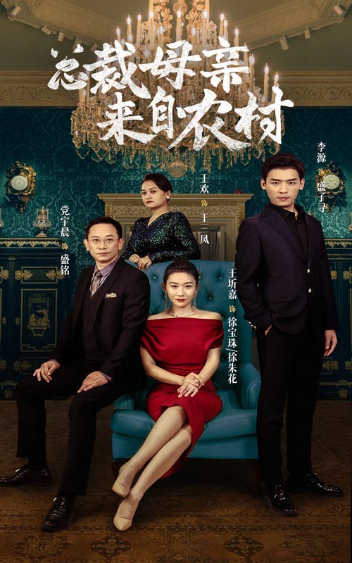 总裁母亲来自农村第32集