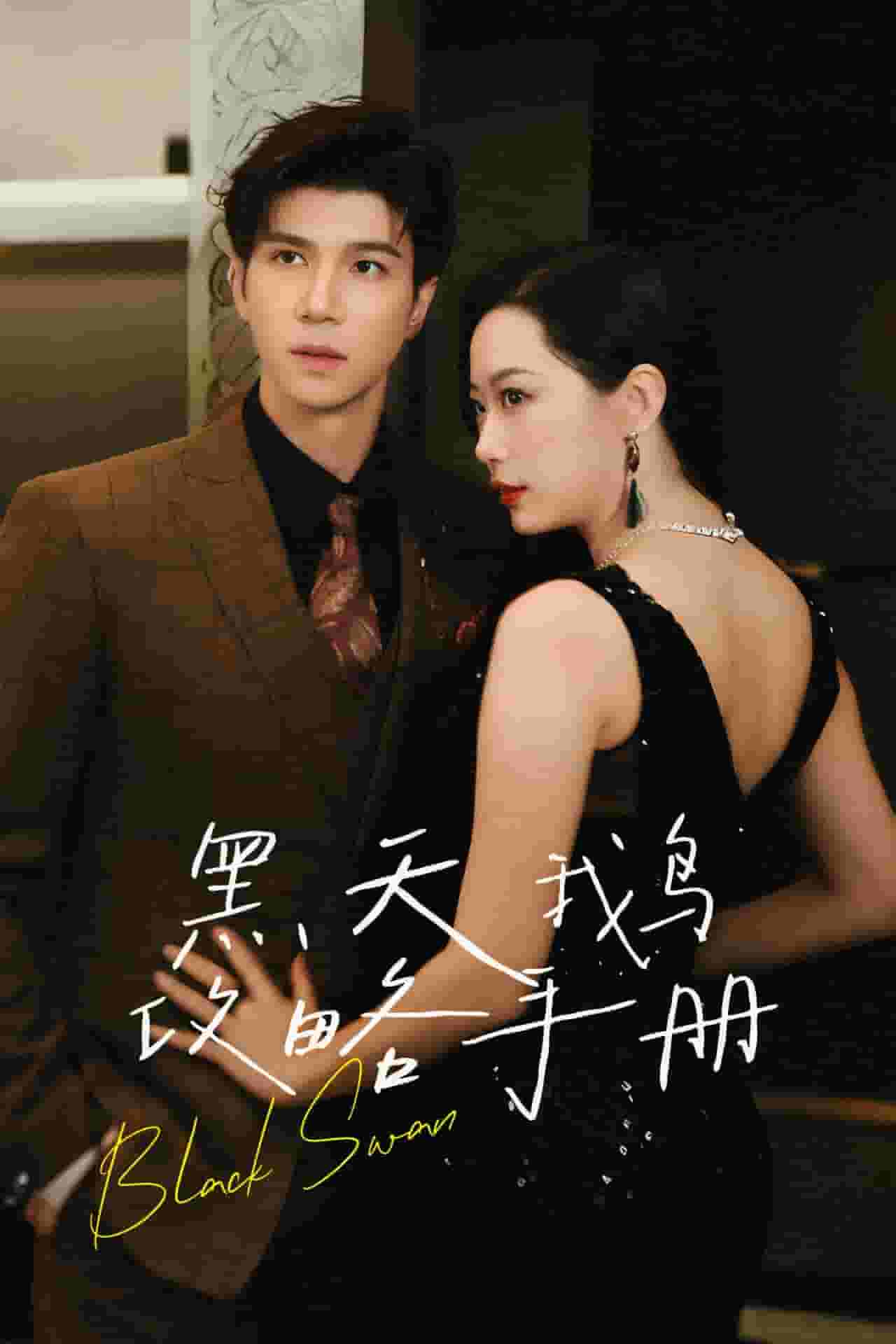 黑天鹅攻略手册第24集