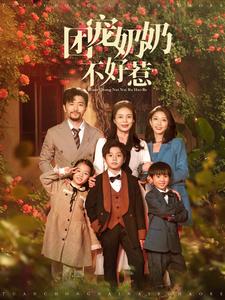 团宠奶奶不好惹第17集