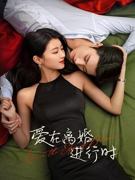 爱在离婚进行时2025第01集