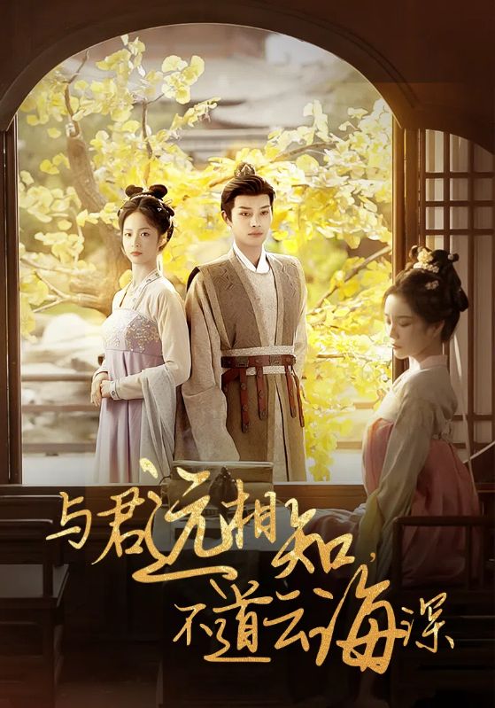 与君远相知不道云海深第01集