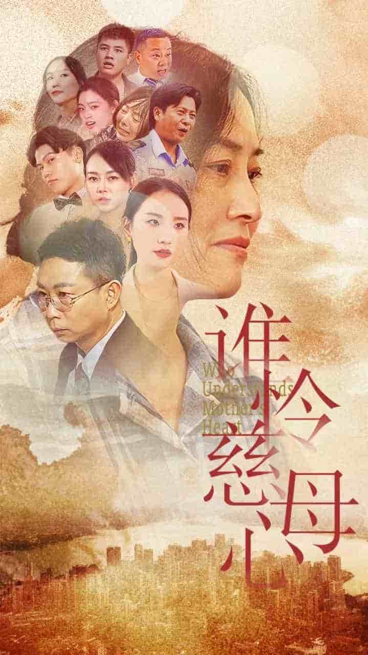 谁怜慈母心第01集