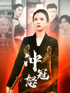 冲冠怒第42集