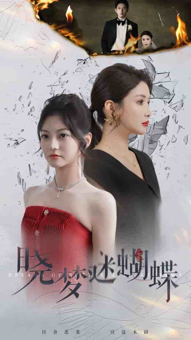 晓梦迷蝴蝶第01集