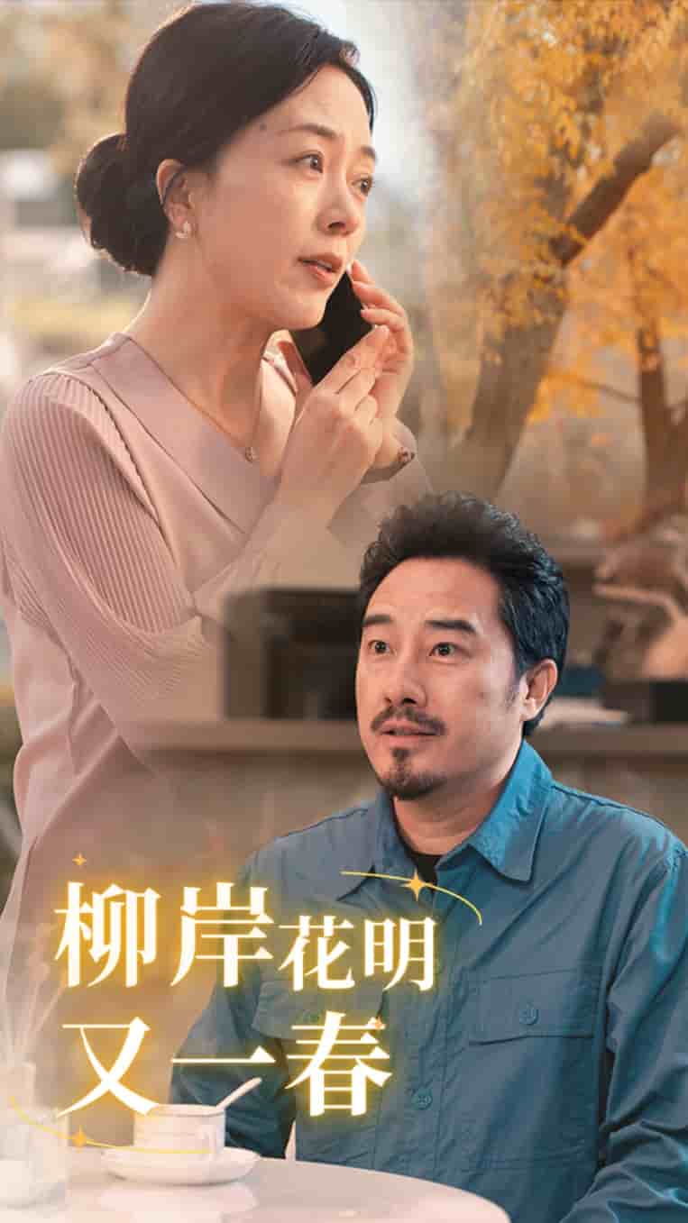 柳暗花明又一春第29集