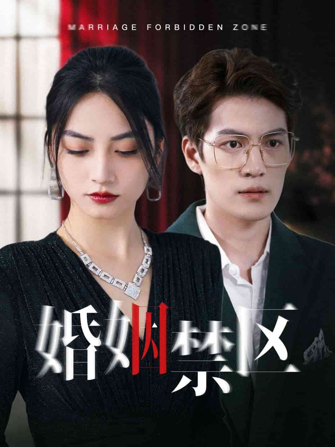 婚姻禁区第30集