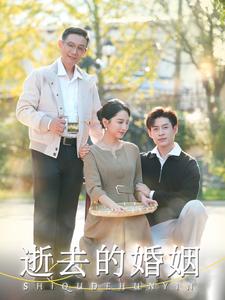 逝去的婚姻第11集