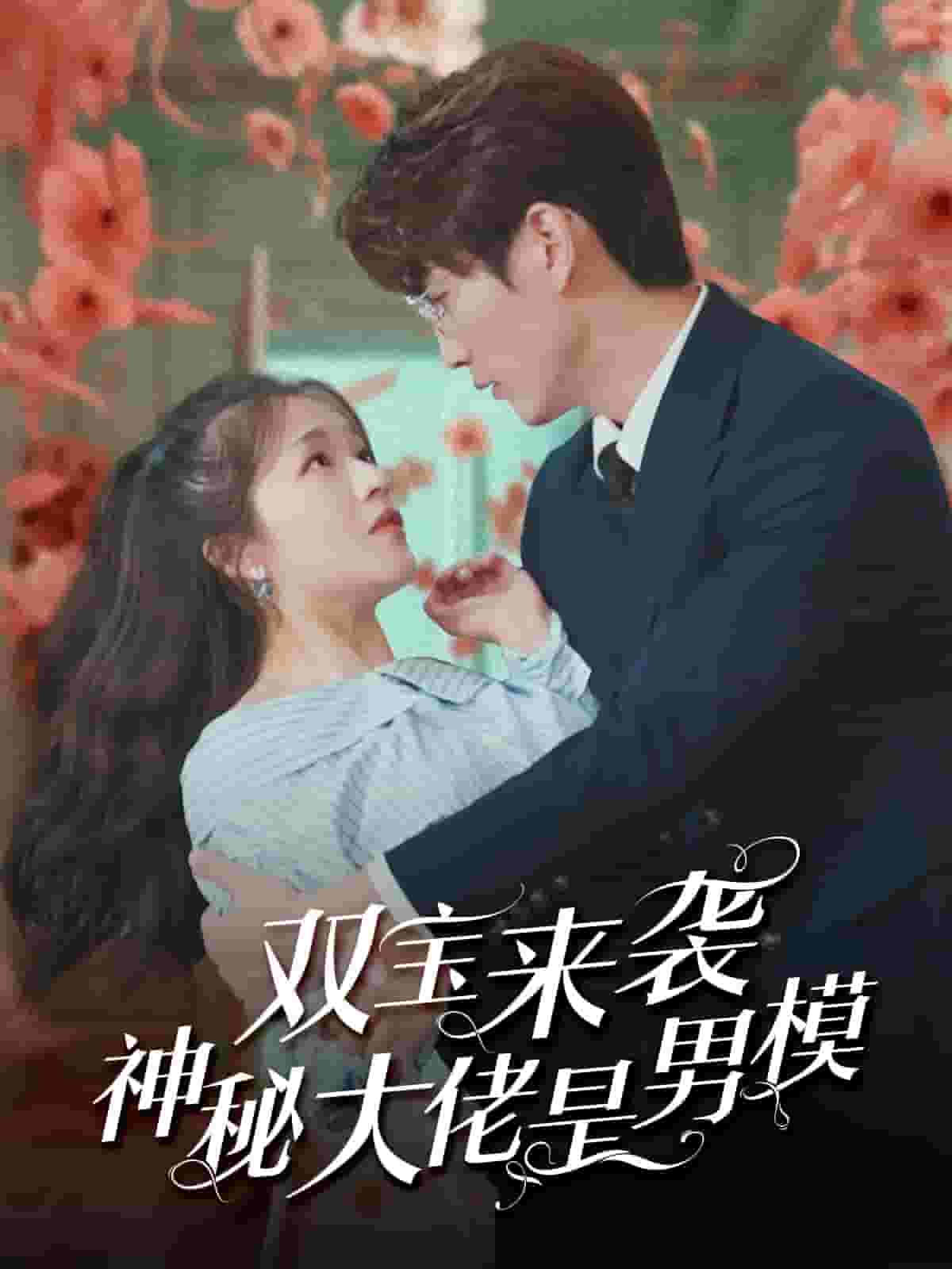 双宝来袭神秘大佬是男模第65集