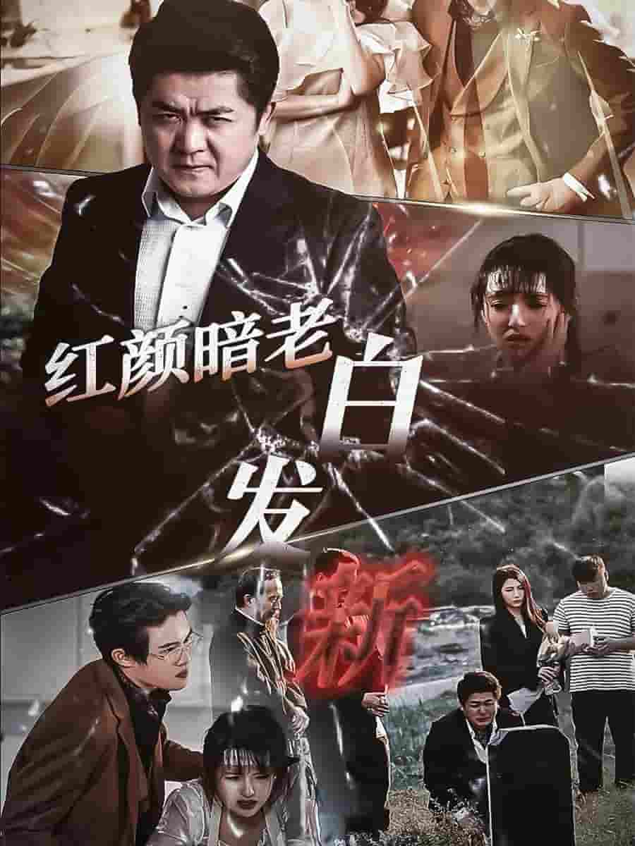 红颜暗老白发新第30集