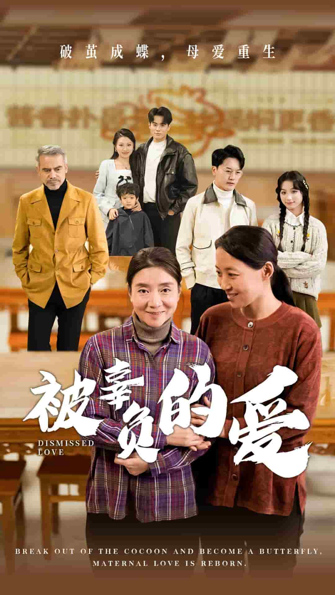 被辜负的爱第52集