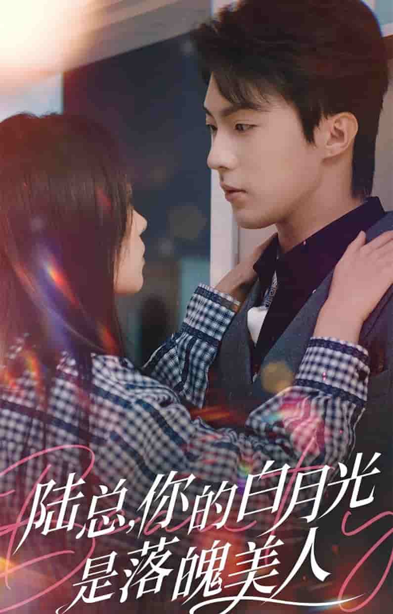 陆总你的白月光是落魄美人第07集