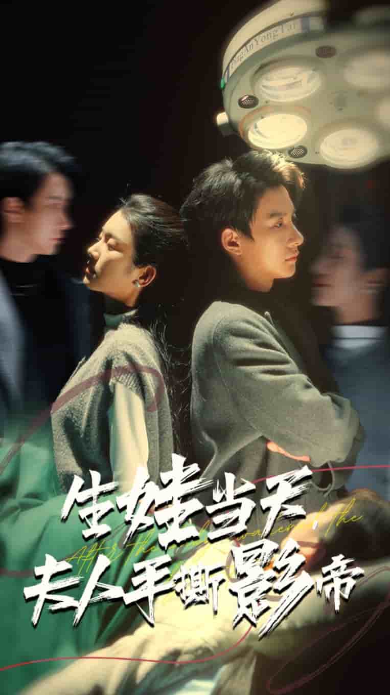 生娃当天夫人手撕影帝第12集