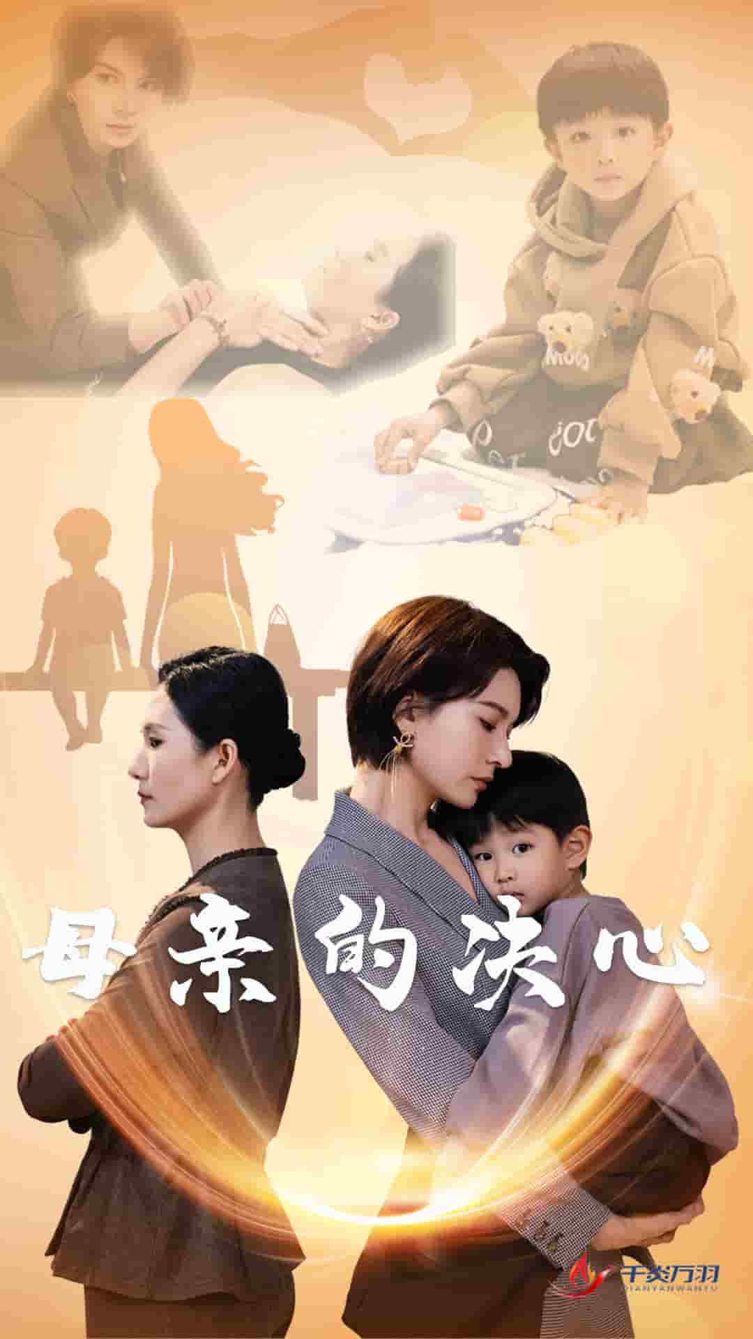 母亲的决心第14集