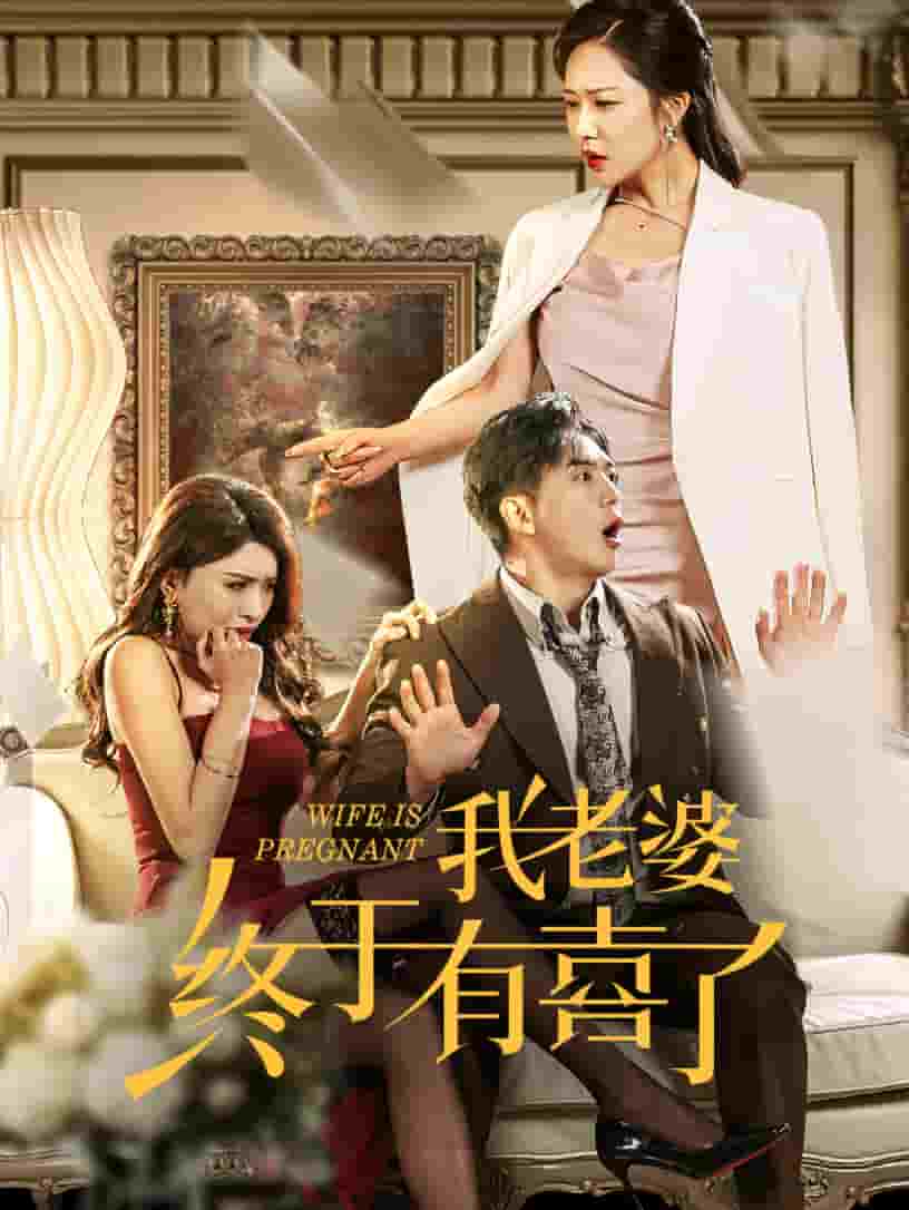 我老婆终于有喜了第34集
