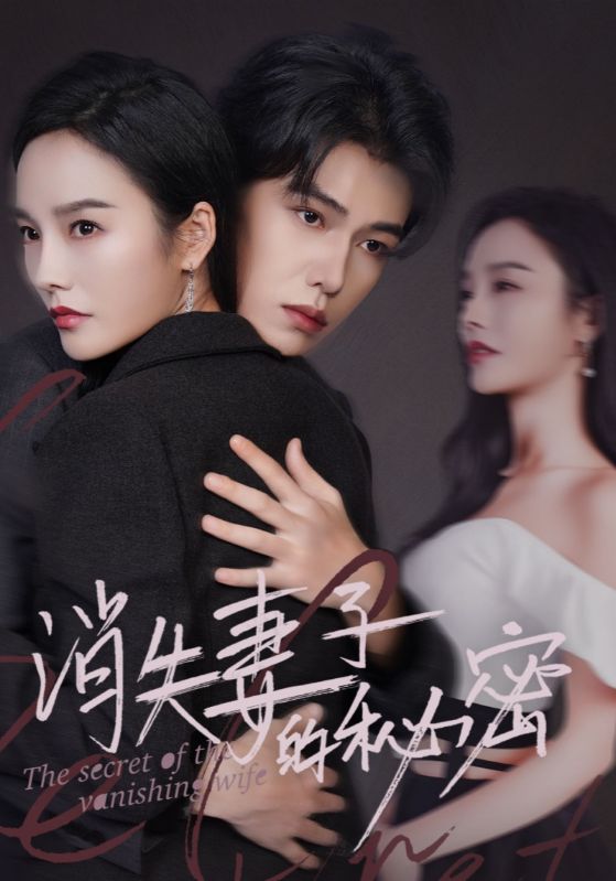消失妻子的秘密第48集