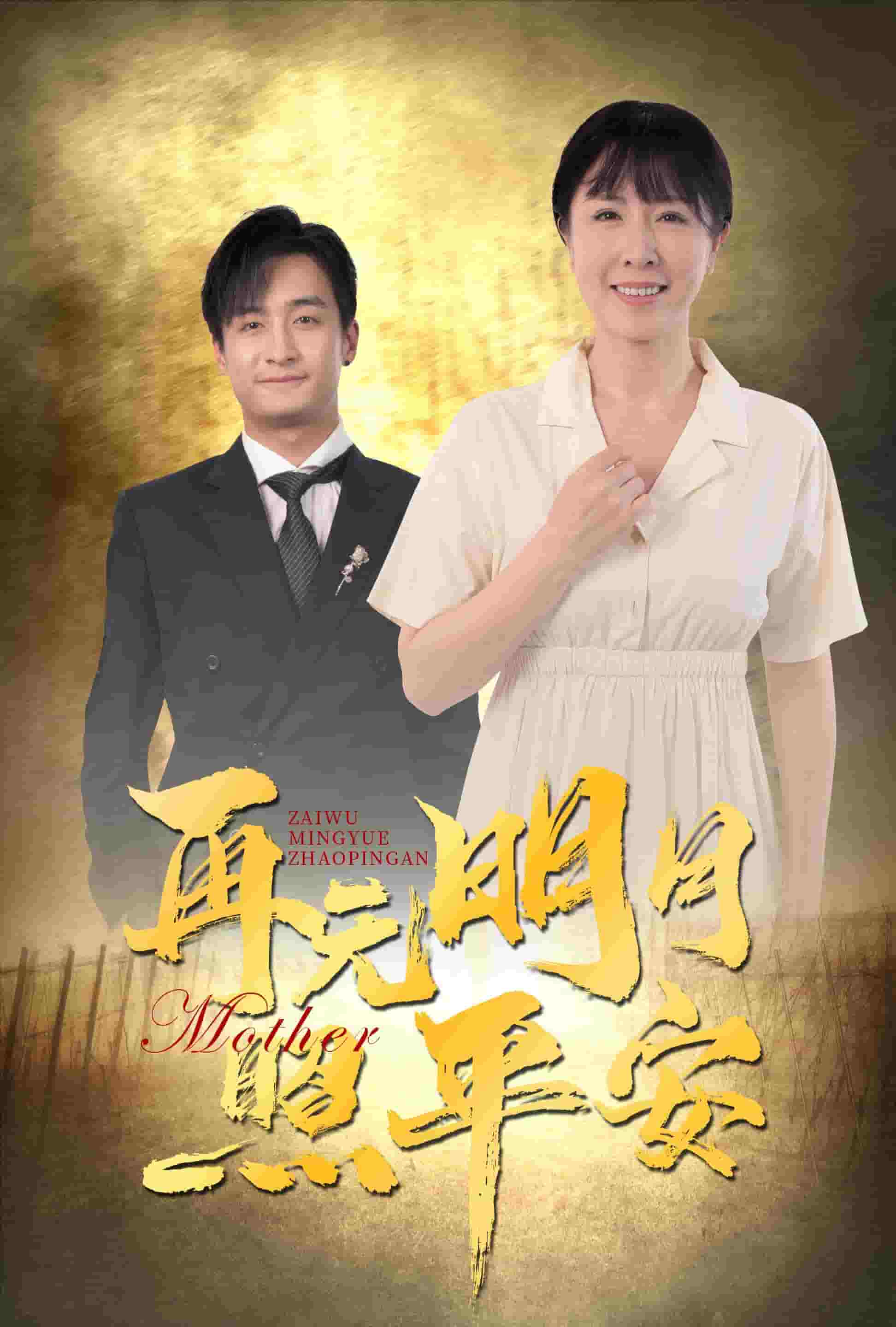 再无明月照平安第54集