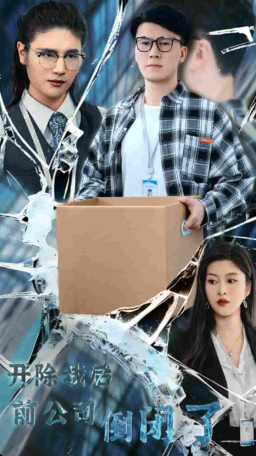 开除我后前公司倒闭了第29集