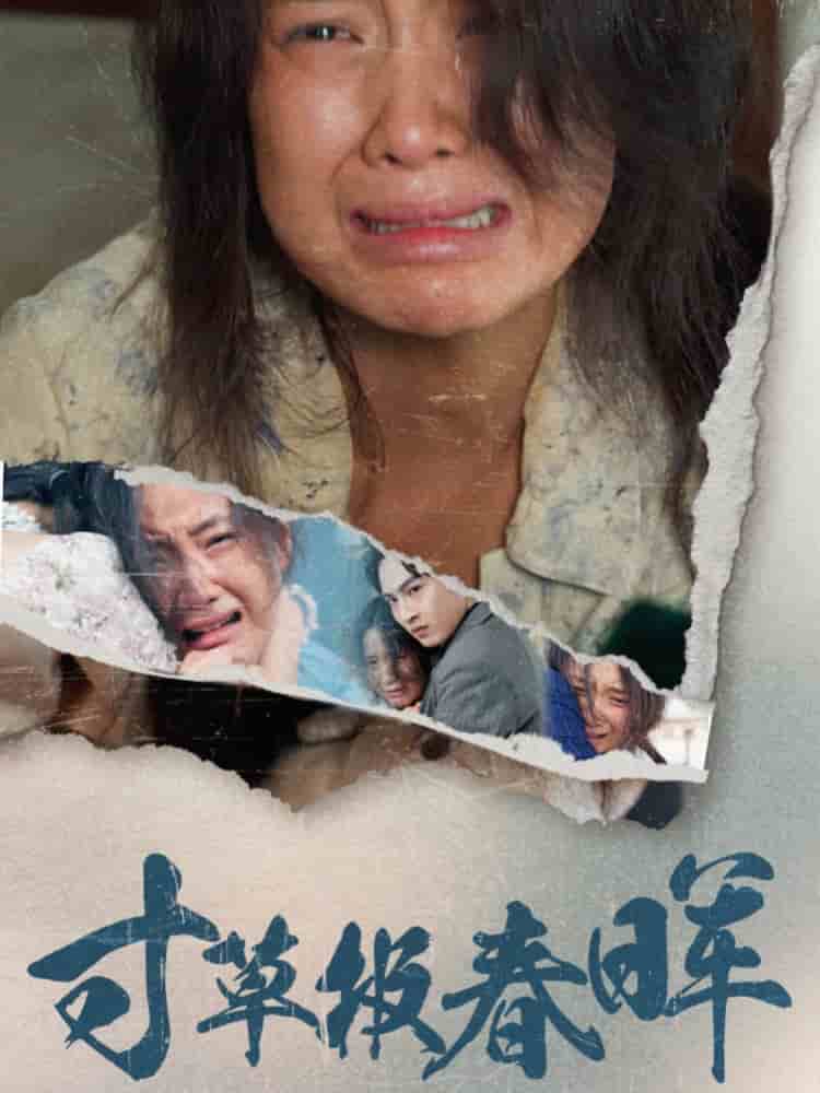 寸草报春晖第27集