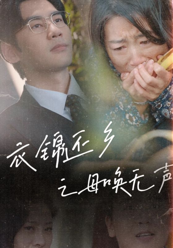 衣锦还乡之母唤无声第22集