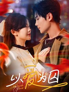 以爱为囚第24集
