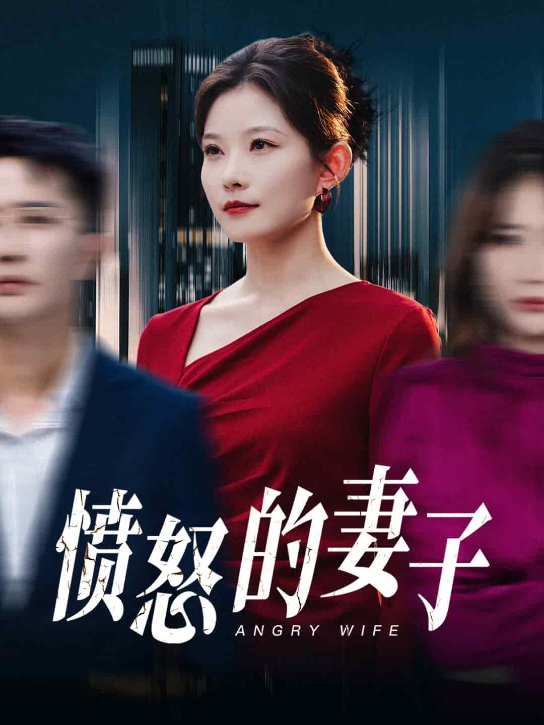 愤怒的妻子第25集