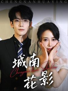 城南花影第16集