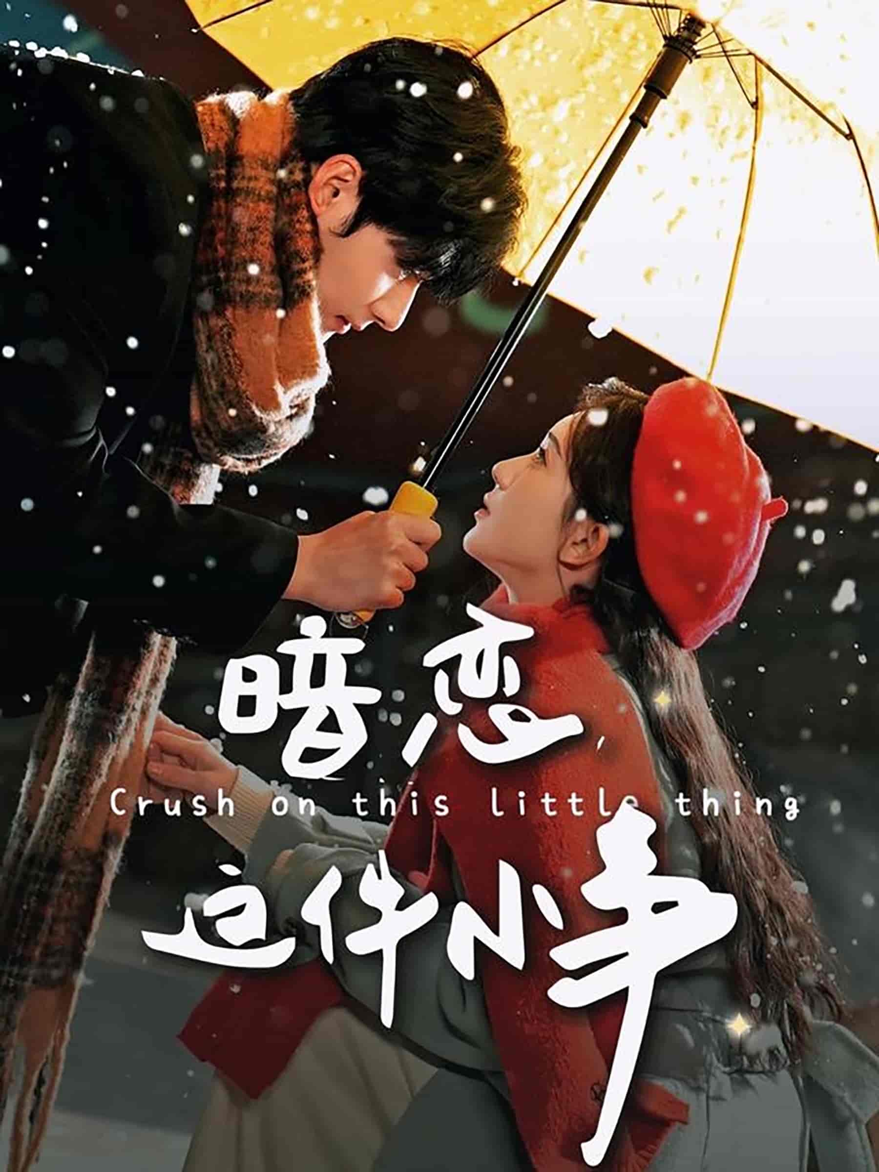暗恋这件小事第73集