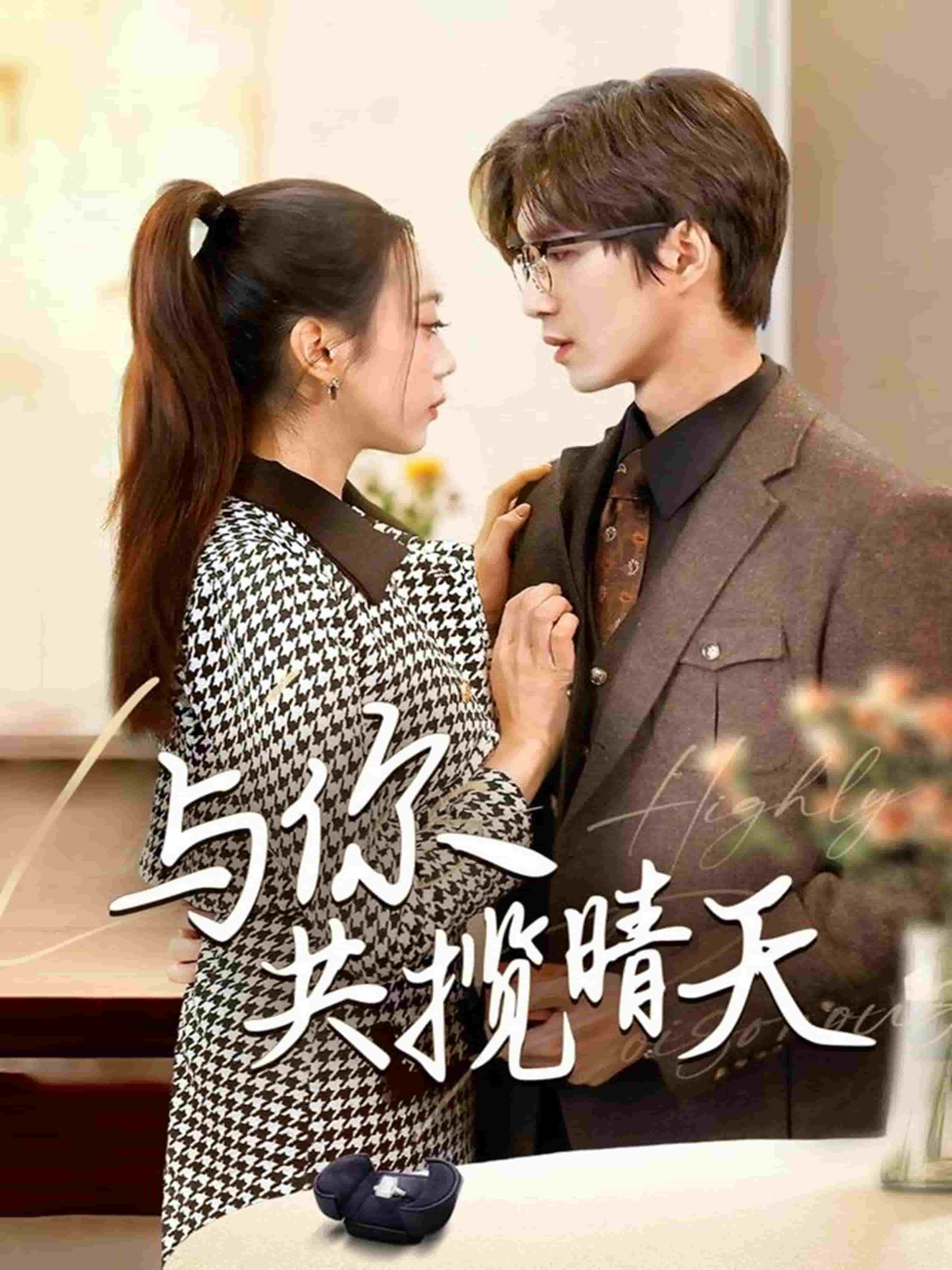 与你共揽晴天第19集