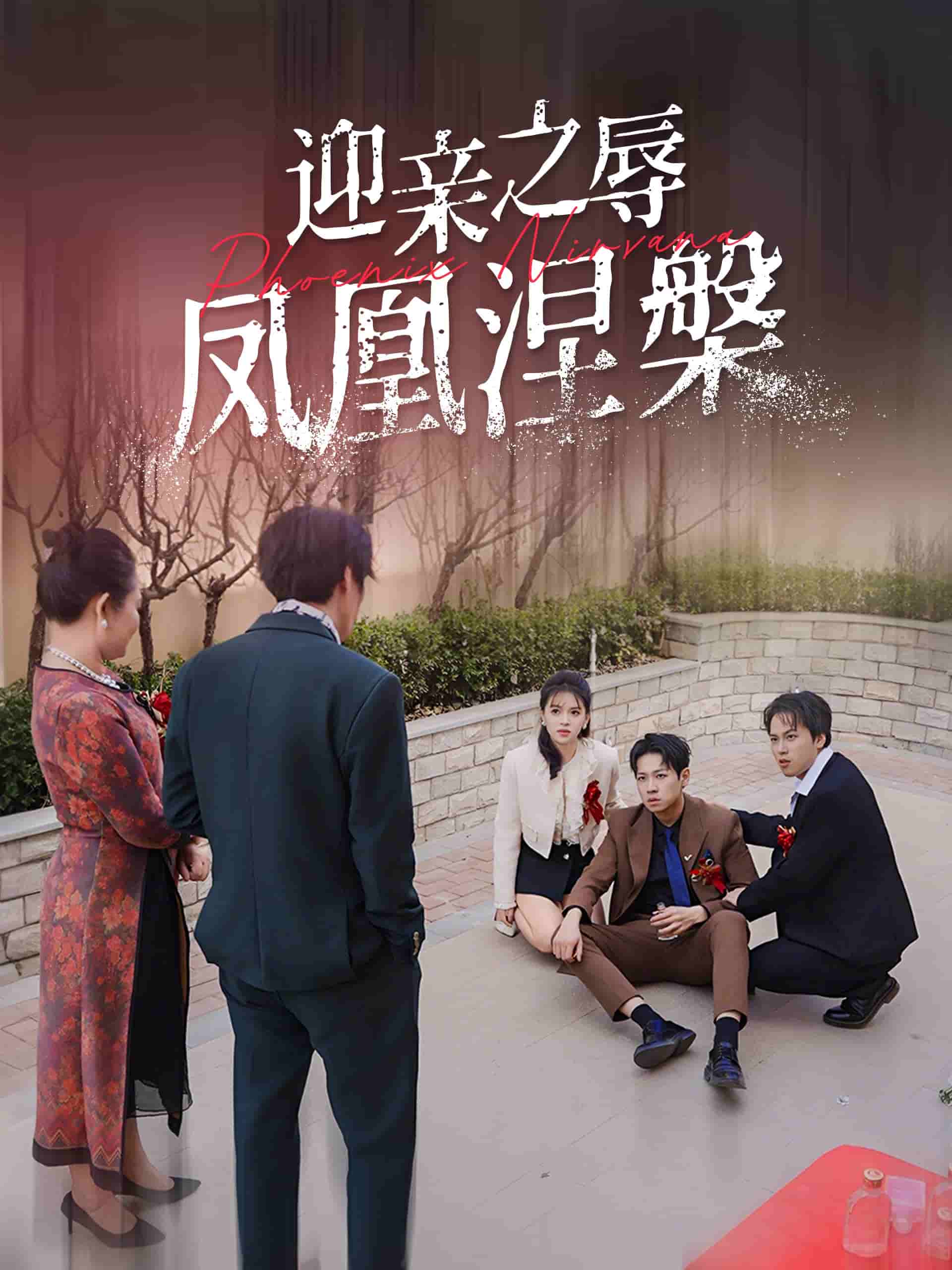 迎亲之辱凤凰涅槃第5集