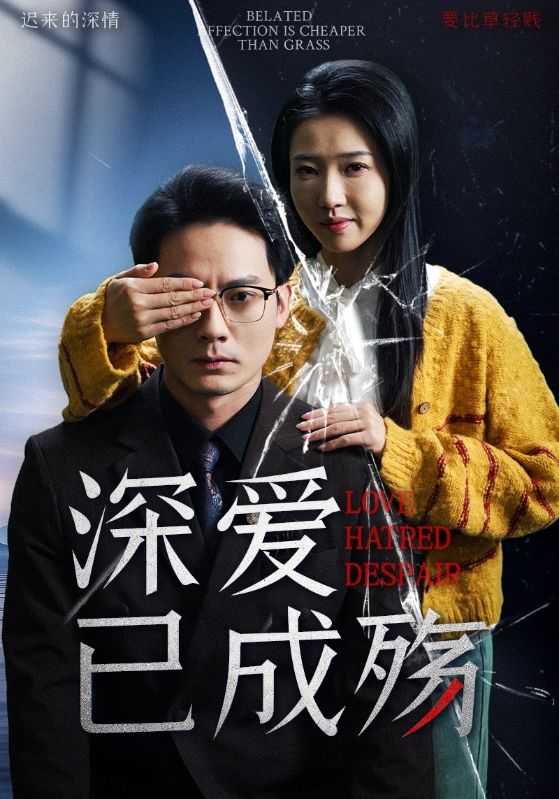 深爱已成殇第33集