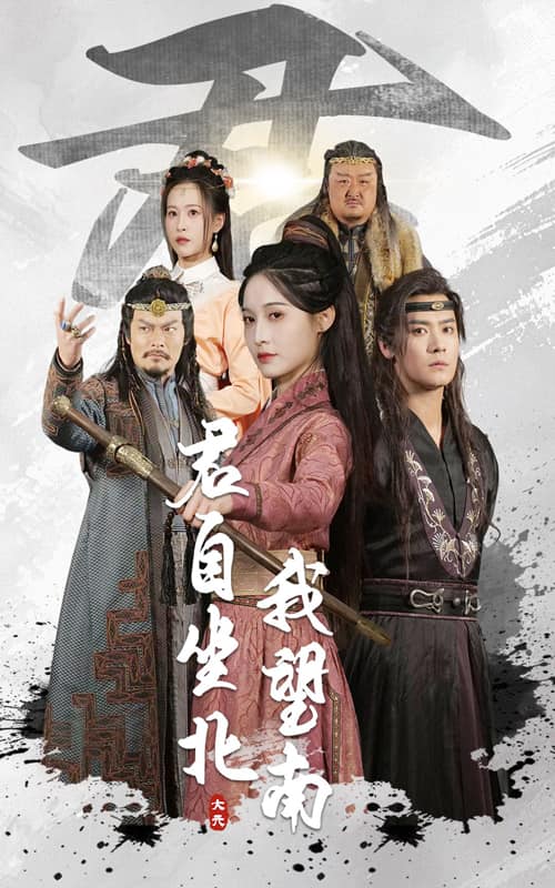 我自迎风向故里第19集