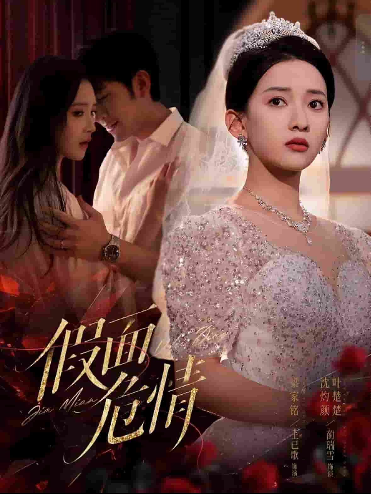 假面危情（短剧版）第12集