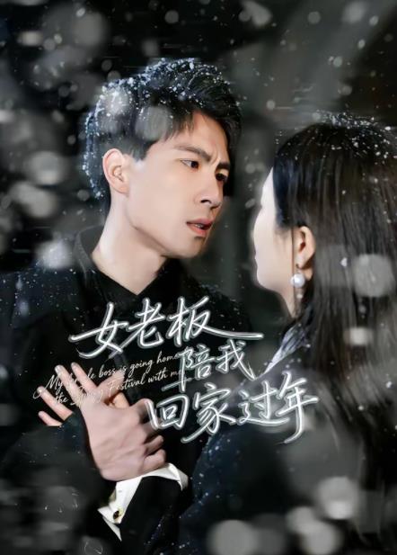 女老板陪我回家过年第36集