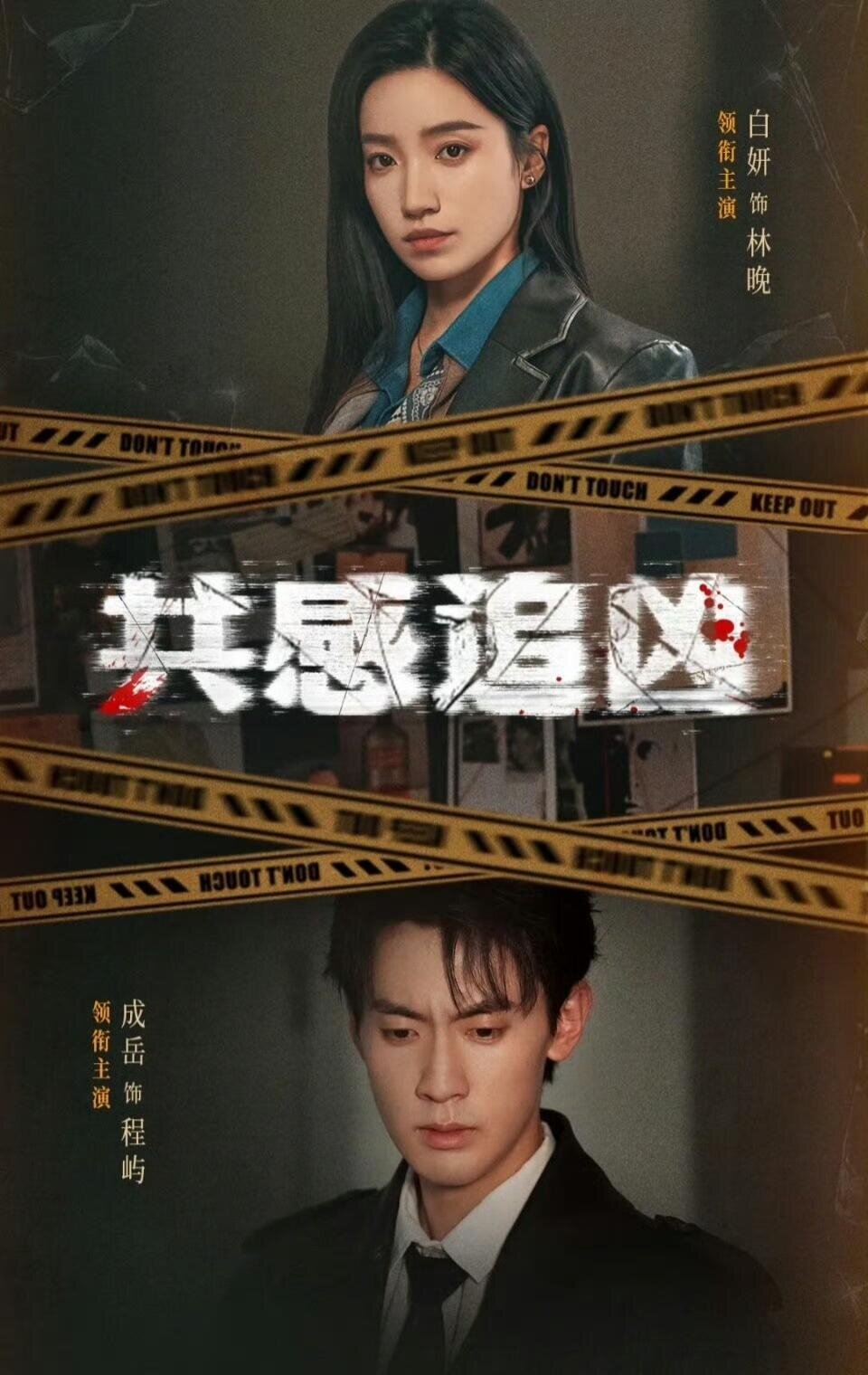 共感追凶第43集